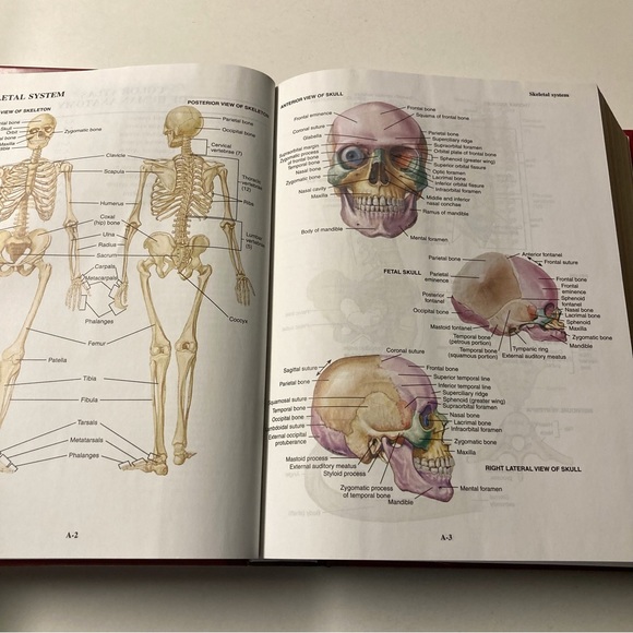 Mosby's Medical Dictionary - Picture 8 of 13